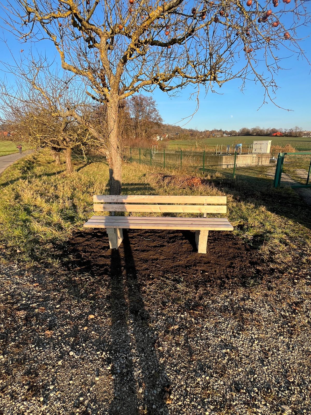 Neue Ruhebank in Wildensorg mit Apfelbaum und Teich